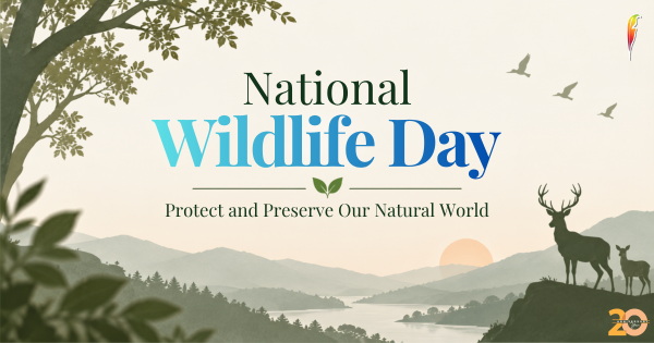 UK National Wildlife Day: 10 Books That Bring the Animal World to Life